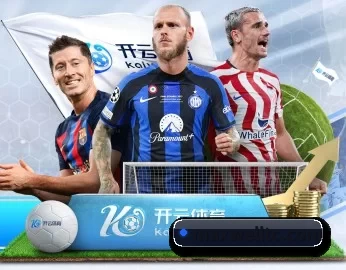db电竞网页版 APP